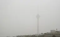 سازمان محیط زیست: آلودگی هوا عصر امروز تشدید می‌شود | تشدید گردوغبار در ایران با سدسازی‌ ترکیه