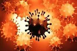 خطرناکترین جهش‌های فعلی کرونا | چرا ویروس کرونا تغییر می کند؟