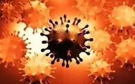 خطرناکترین جهش‌های فعلی کرونا | چرا ویروس کرونا تغییر می کند؟