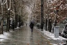بارش باران و برف در تهران