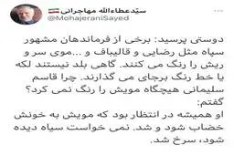 توئیتر جنجالی مهاجرانی علیه رنگ موی قالیباف و رضایی