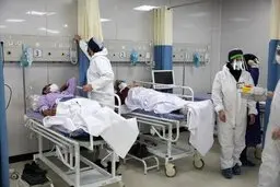 معاون وزارت بهداشت: احتمالا از موج هشتم کرونا عبور کرده ایم