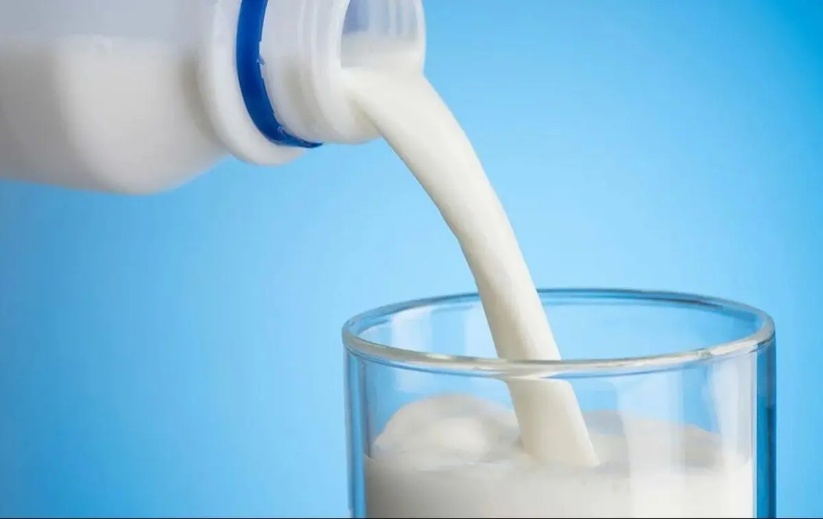 
شایعه وجود آفلاتوکسین در شیر چه بلایی سر سلامت می‌آورد؟
