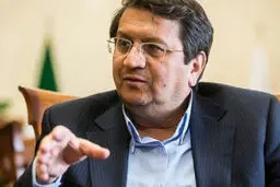 همتی: حساب‌های شخصی و تجاری جداسازی می‌شود