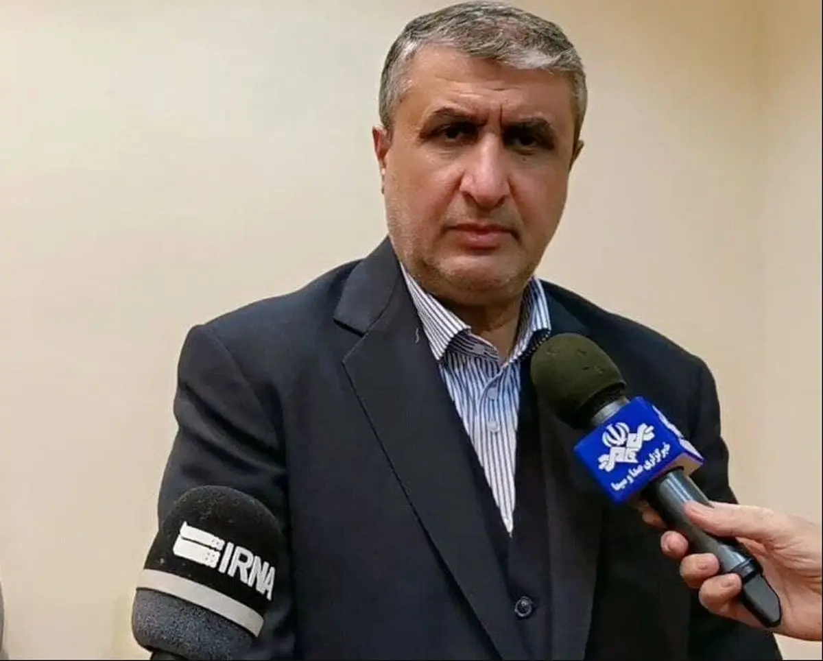 اسلامی: با روسیه به تفاهم رسیدیم که در مذاکرات جدید، ساز و کارهای متفاوتی را با هدف سرعت گرفتن کارها پایه گذاری کنیم | توافق شد تعهدات مالی ما به صورت زمان بندی عمل شود تا پروژه [نیروگاه بوشهر] با تاخیر مواجه نشود