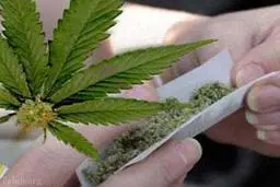 زوج «گُل» فروش در کیش دستگیر شدند. 
