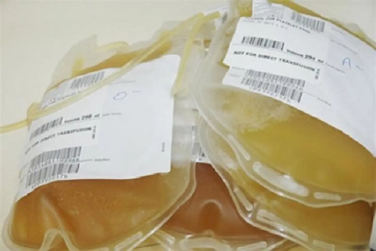 کاهش ۳۰ درصدی اهدای خون در تهران| بهبودیافتگان کرونا، پلاسما نذر کنند