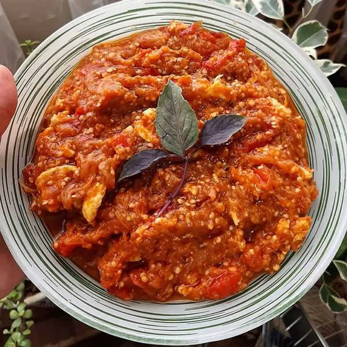 میرزا قاسمی شمالی خوشمزه و آسون | طرز تهیه میرزا قاسمی +ویدیو