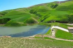 ارزش گرانبهای ماکارونی  درمقایسه با جنگل های ایران + ویدئو