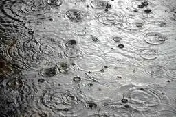 بارندگی و کاهش محسوس دما در شمال شرق کشور+ ویدئو