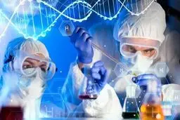 تک رقمی شدن رتبه علمی ایران در گروی افزایش کیفیت آموزش عالی است 