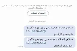 مراقب پیامک‌های جعلی یارانه کمک معیشتی باشید