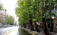 چمران: درختان آفت‌زده خیابان ولیعصر باید قطع شود