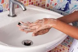 
چرا برای پیشگیری از ابتلا به کرونا، باید دست‌ها را به مدت ٢٠ ثانیه با آب و صابون شست؟