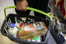 آغاز خرید کالابرگ آنلاین با تحویل رایگان