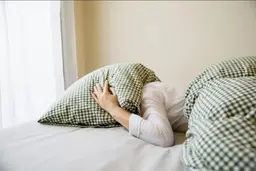 
با  چرت بعد از ظهر  ذهن خود را  تقویت کنید 
