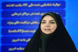  آمار بستری‌های  کرونایی دو هفته بعد از تعطیلات با افزایش روبه‌رو می‌شود