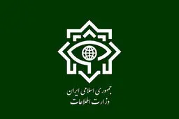بیانیه وزارت اطلاعات در پی شهادت سردار سید مجید خادمی