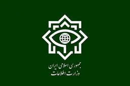 بیانیه وزارت اطلاعات در پی شهادت سردار سید مجید خادمی