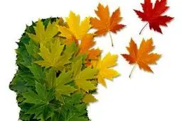 ترکیب آلزایمر و کرونا زنگ خطری برای بروز یک اختلال ژنتیکی بالقوه ! 