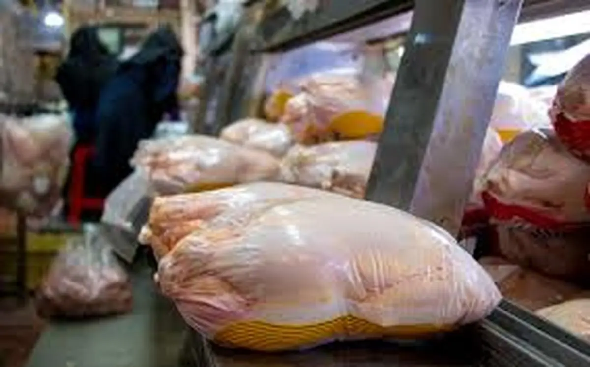 مرغ کیلویی ۱۸ و ۵۰۰ در تمام فروشگاه‌ها موجود است