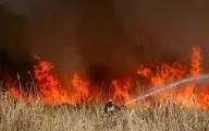 عاملان آتش سوزی تلوک شهرستان بدره استان ایلام دستگیر شدند +ویدئو