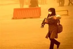 سازمان جنگل‌ها: طوفان‌های گرد وغبار در کشور امسال شدیدتر می‌شود