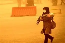 سازمان جنگل‌ها: طوفان‌های گرد وغبار در کشور امسال شدیدتر می‌شود