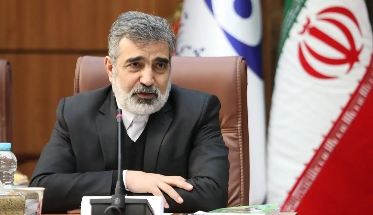 کمالوندی: ایران درباره همکاری با آژانس بین‌المللی انرژی اتمی تجدید نظر می‌کند