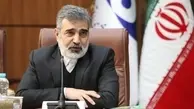 کمالوندی: ایران درباره همکاری با آژانس بین‌المللی انرژی اتمی تجدید نظر می‌کند