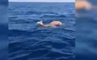 ماجرای شترهای شناگر در دریا + ویدئو