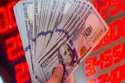 کاهش هیجان در بازار دلارفروشان