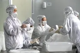 صادرات ماسک و دستکش در ۸۰ کشور ممنوع شد 