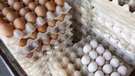 قیمت تخم مرغ کاهش پیدا می‌کند ؟ | قیمت تخم مرغ روز + جدول