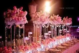 اتفاق عجیب برای عروس و دامادی که میخواستند متفاوت در سالن حاضر شوند+ویدئو