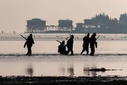 مجوز‌های شکار چندهزاردلاری از کجا صادر می‌شود؟