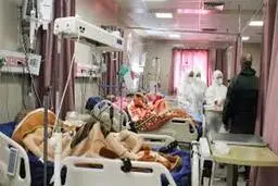 روند رو به گسترش کرونا در قم 