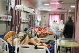 روند رو به گسترش کرونا در قم 