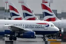 چگونه حشرات چند میلی‌متری هواپیماها را از آسمان به زمین می‌کشند؟