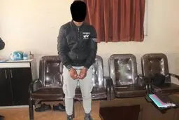 چوپانی که برای خوشگذرانی حیوانات را می‌کشت راهی زندان شد