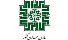  همه جرایم مالیاتی تا سقف ۷۰۰ میلیون تومان بخشیده شد