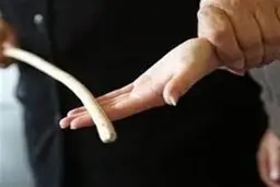 توضیح آموزش و پرورش فارس درخصوص تنبیه بدنی دانش آموز مرودشتی