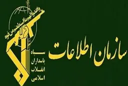 جزئیاتی عجیب از دستگیری ۴ نفر از سر شبکه‌های «فرقه عرفان حلقه»