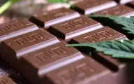  کشف شکلات‌های تریاکی در فرودگاه امام +جزئیات