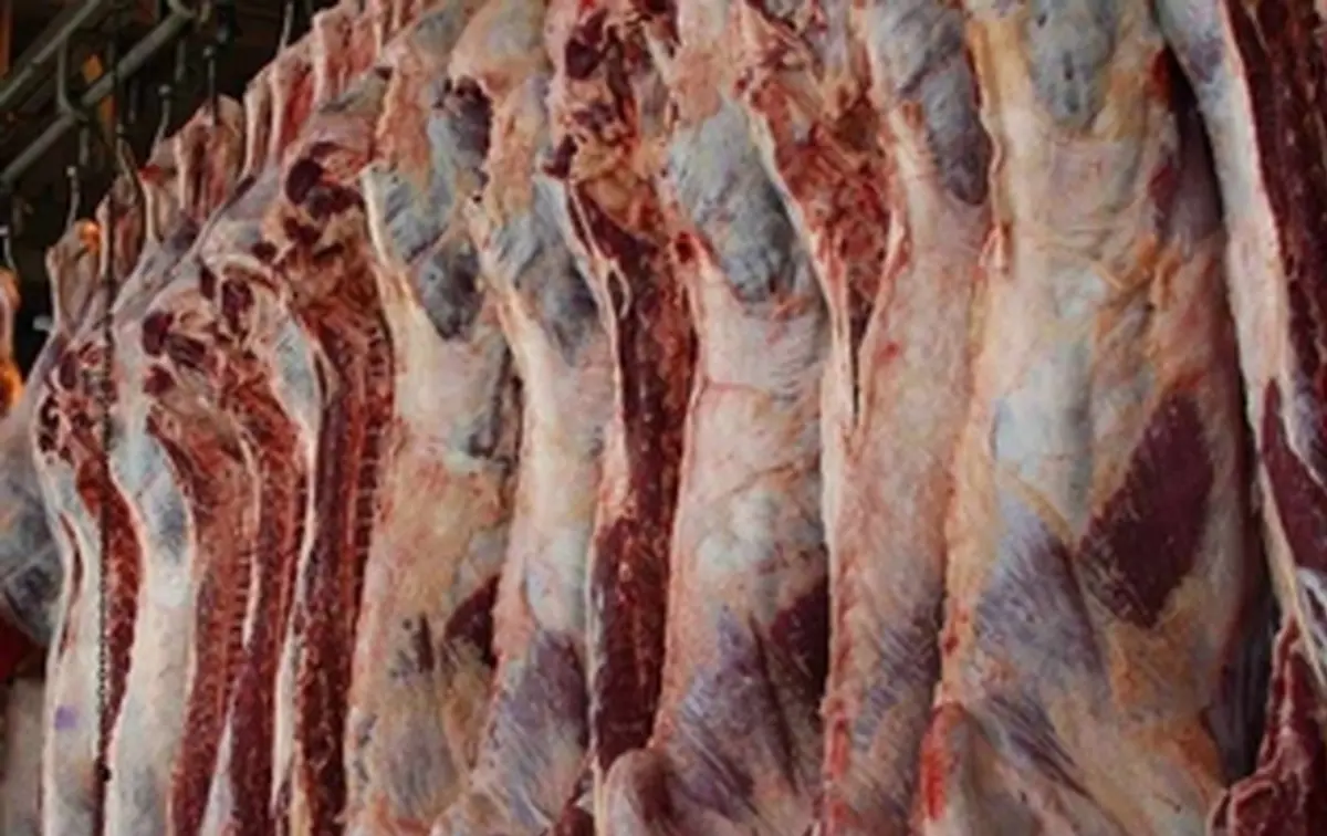 گوشت قرمز  |  کاهش 20 هزار تومانی قیمت گوشت قرمز