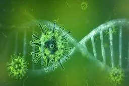 چرا محدودیت‌ها نمی‌تواند جلوی ورود کرونای جدید آفریقای جنوبی را بگیرد؟