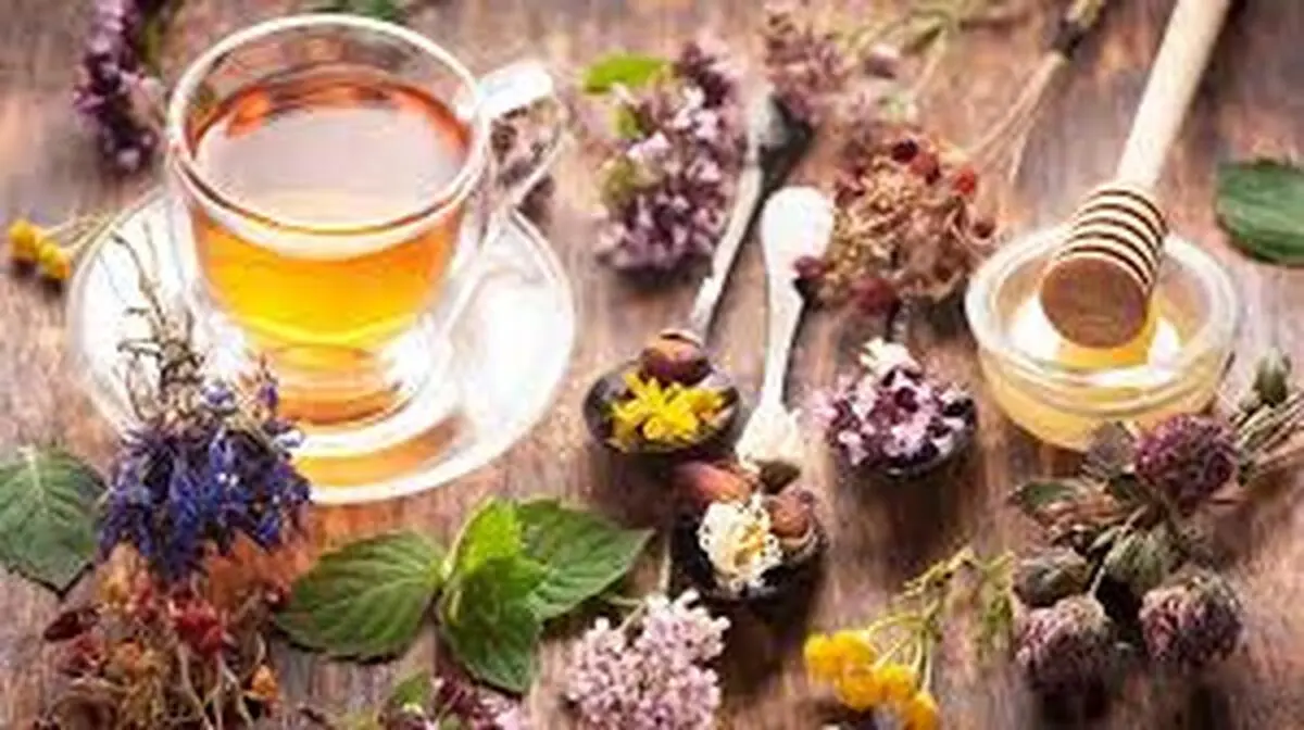 ترکیب طبیعی و پرخاصیت برای تقویت بدن و چربی‌سوزی روزانه | با این چربی سوز دیگه نیاز به رژیم نداری+ ویدیو 