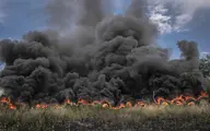 تصاویر: آتش‌سوزی باغ‌های سُرخه