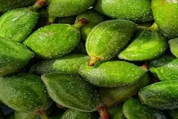 دیگر چغاله بادام نخورید! | بررسی عوارض چغاله بادام
