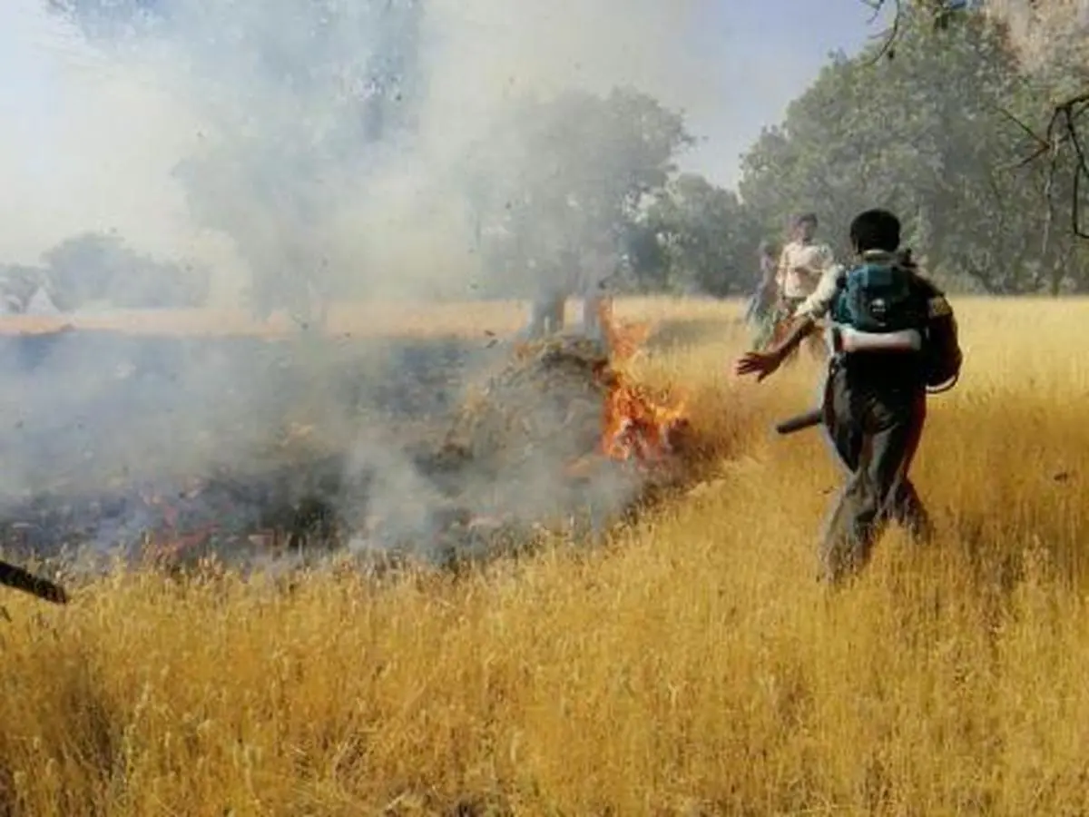عامل آتش‌سوزی عرصه‌های طبیعی ارژن شیراز دستگیر شد.